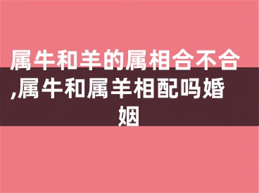 属牛和羊的属相合不合,属牛和属羊相配吗婚姻