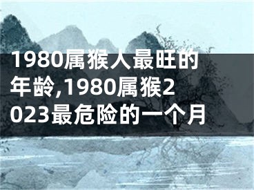 1980属猴人最旺的年龄,1980属猴2023最危险的一个月
