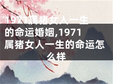 1971属猪女人一生的命运婚姻,1971属猪女人一生的命运怎么样