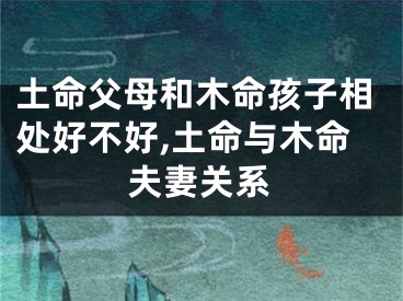 土命父母和木命孩子相处好不好,土命与木命夫妻关系