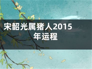 宋韶光属猪人2015年运程
