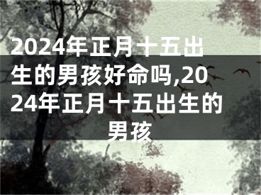 2024年正月十五出生的男孩好命吗,2024年正月十五出生的男孩