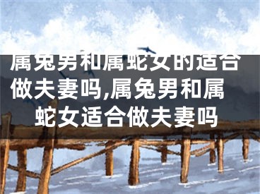 属兔男和属蛇女的适合做夫妻吗,属兔男和属蛇女适合做夫妻吗