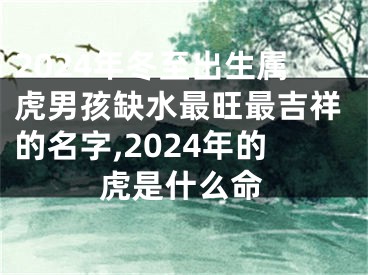 2024年冬至出生属虎男孩缺水最旺最吉祥的名字,2024年的虎是什么命