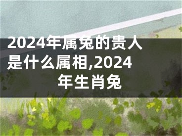 2024年属兔的贵人是什么属相,2024年生肖兔