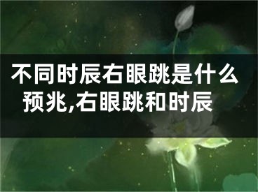 不同时辰右眼跳是什么预兆,右眼跳和时辰