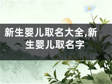新生婴儿取名大全,新生婴儿取名字
