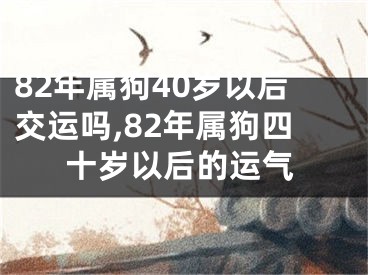 82年属狗40岁以后交运吗,82年属狗四十岁以后的运气