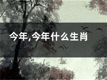 今年,今年什么生肖