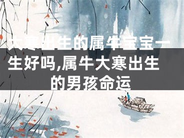 大寒出生的属牛宝宝一生好吗,属牛大寒出生的男孩命运