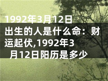 1992年3月12日出生的人是什么命：财运起伏,1992年3月12日阳历是多少