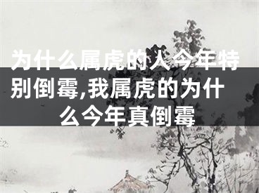 为什么属虎的人今年特别倒霉,我属虎的为什么今年真倒霉
