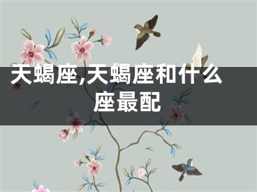 天蝎座,天蝎座和什么座最配