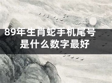 89年生肖蛇手机尾号是什么数字最好