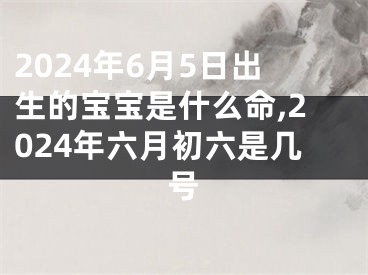 2024年6月5日出生的宝宝是什么命,2024年六月初六是几号