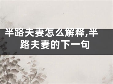 半路夫妻怎么解释,半路夫妻的下一句