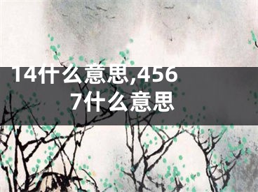 14什么意思,4567什么意思