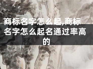 商标名字怎么起,商标名字怎么起名通过率高的
