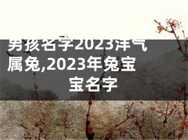 男孩名字2023洋气属兔,2023年兔宝宝名字