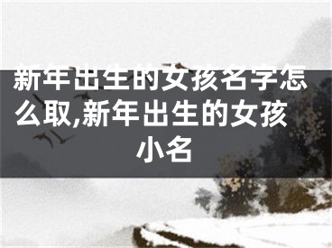 新年出生的女孩名字怎么取,新年出生的女孩小名