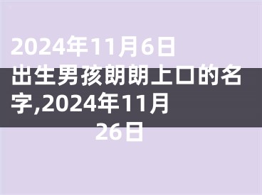 2024年11月6日出生男孩朗朗上口的名字,2024年11月26日