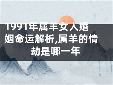 1991年属羊女人婚姻命运解析,属羊的情劫是哪一年