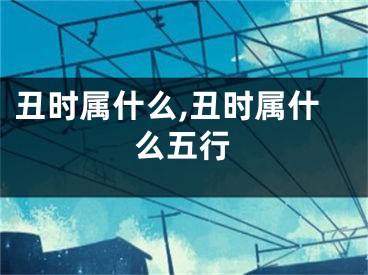丑时属什么,丑时属什么五行