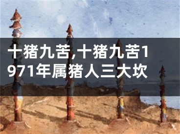 十猪九苦,十猪九苦1971年属猪人三大坎