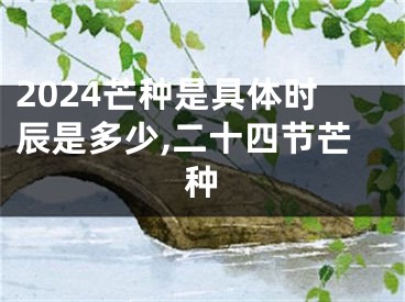 2024芒种是具体时辰是多少,二十四节芒种