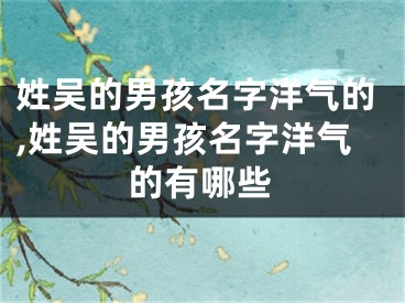 姓吴的男孩名字洋气的,姓吴的男孩名字洋气的有哪些