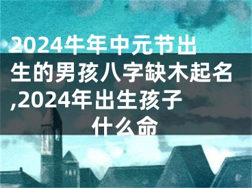 2024牛年中元节出生的男孩八字缺木起名,2024年出生孩子什么命