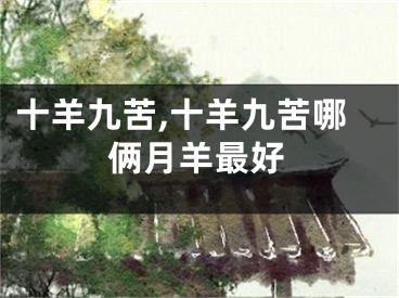 十羊九苦,十羊九苦哪俩月羊最好