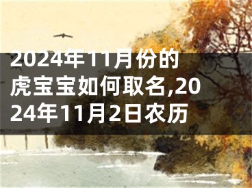 2024年11月份的虎宝宝如何取名,2024年11月2日农历