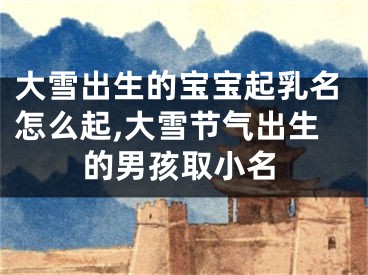 大雪出生的宝宝起乳名怎么起,大雪节气出生的男孩取小名