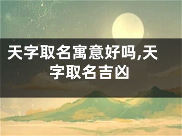 天字取名寓意好吗,天字取名吉凶
