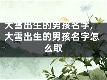大雪出生的男孩名字,大雪出生的男孩名字怎么取