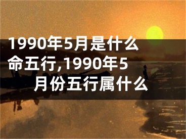 1990年5月是什么命五行,1990年5月份五行属什么