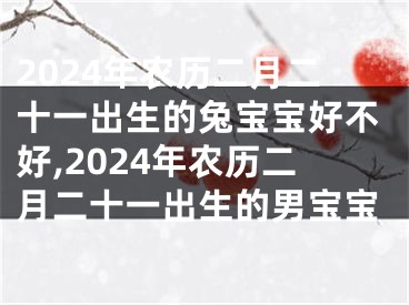2024年农历二月二十一出生的兔宝宝好不好,2024年农历二月二十一出生的男宝宝