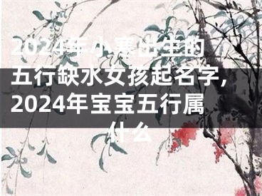 2024年小寒出生的五行缺水女孩起名字,2024年宝宝五行属什么
