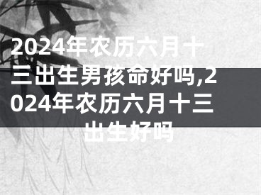 2024年农历六月十三出生男孩命好吗,2024年农历六月十三出生好吗
