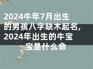 2024牛年7月出生的男孩八字缺木起名,2024年出生的牛宝宝是什么命