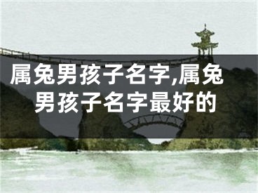 属兔男孩子名字,属兔男孩子名字最好的