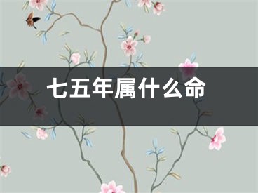 七五年属什么命