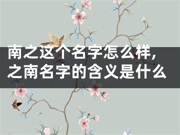 南之这个名字怎么样,之南名字的含义是什么