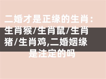 二婚才是正缘的生肖：生肖猴/生肖鼠/生肖猪/生肖鸡,二婚姻缘是注定的吗