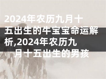 2024年农历九月十五出生的牛宝宝命运解析,2024年农历九月十五出生的男孩