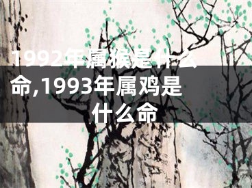 1992年属猴是什么命,1993年属鸡是什么命