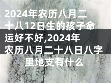 2024年农历八月二十八12日生的孩子命运好不好,2024年农历八月二十八日八字里地支有什么