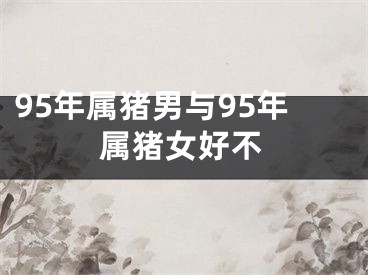 95年属猪男与95年属猪女好不