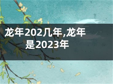 龙年202几年,龙年是2023年